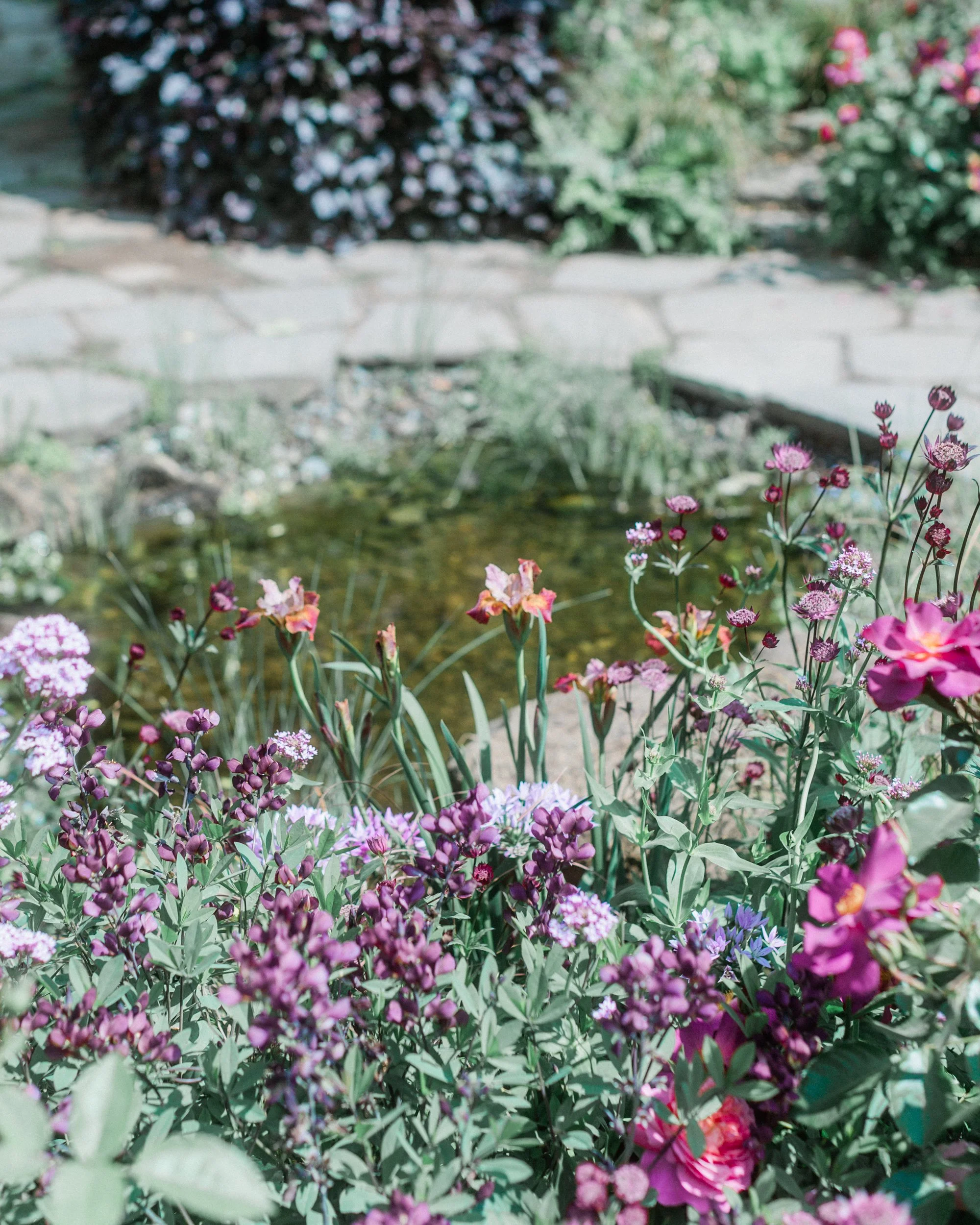 RHS Chelsea Flower Show 2025 | The Glasshouse Garden — RONA